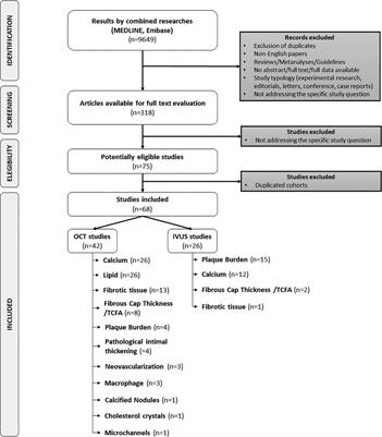 Automatic assessment of atherosclerotic plaque features by intracoronary imaging: a scoping review